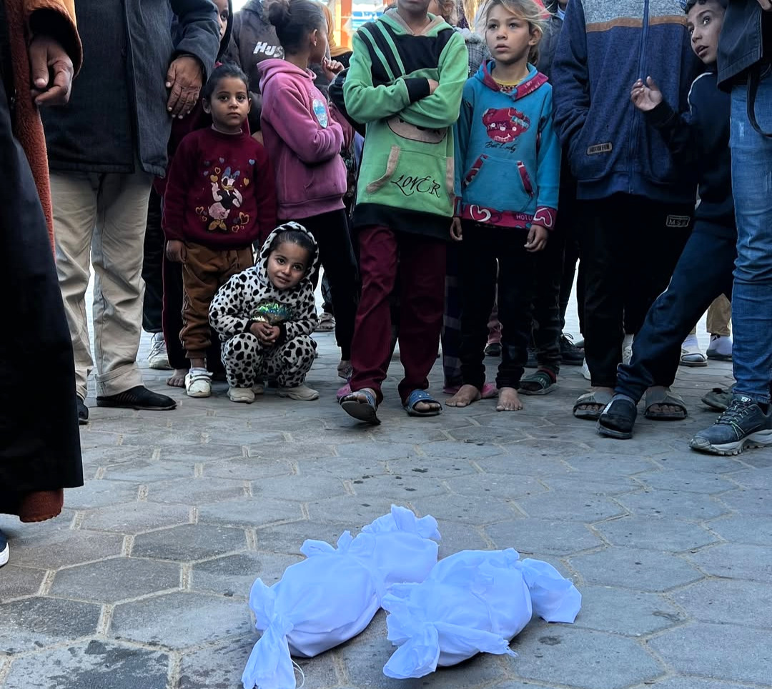 Data, October 7, 2023 - December 31, 2024 – The Gaza Strip cover image