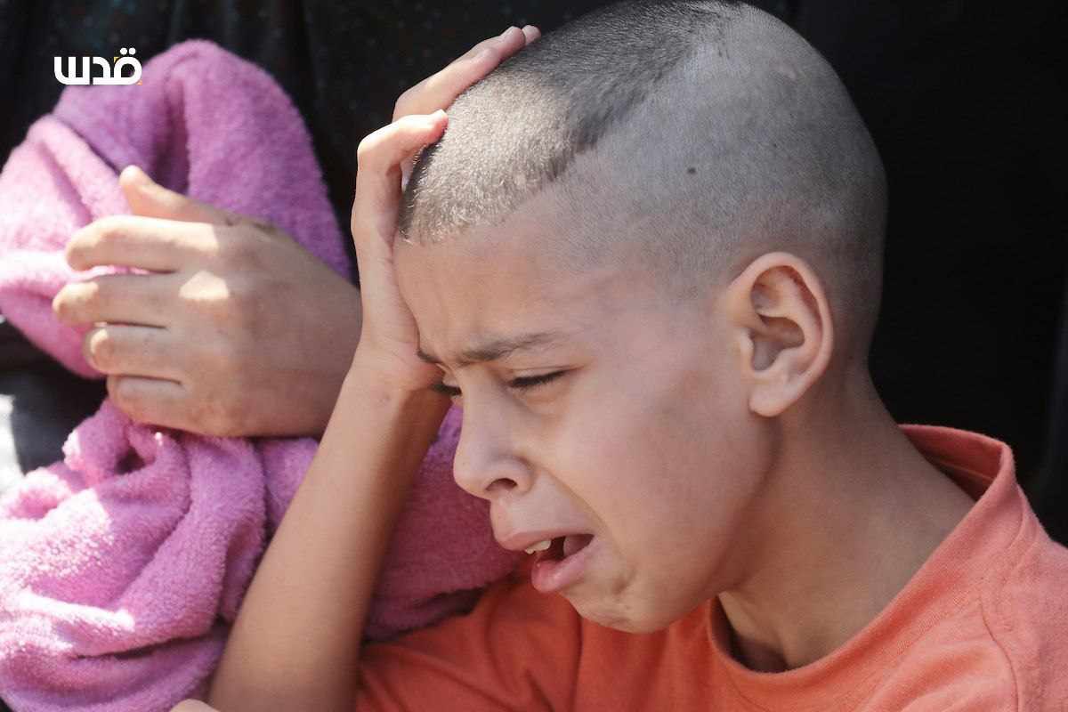 Tuesday, June 25, 2024 – The Gaza Strip inline image