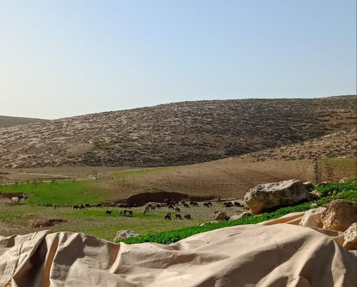 Sunday, February 1, 2026 – The West Bank inline image