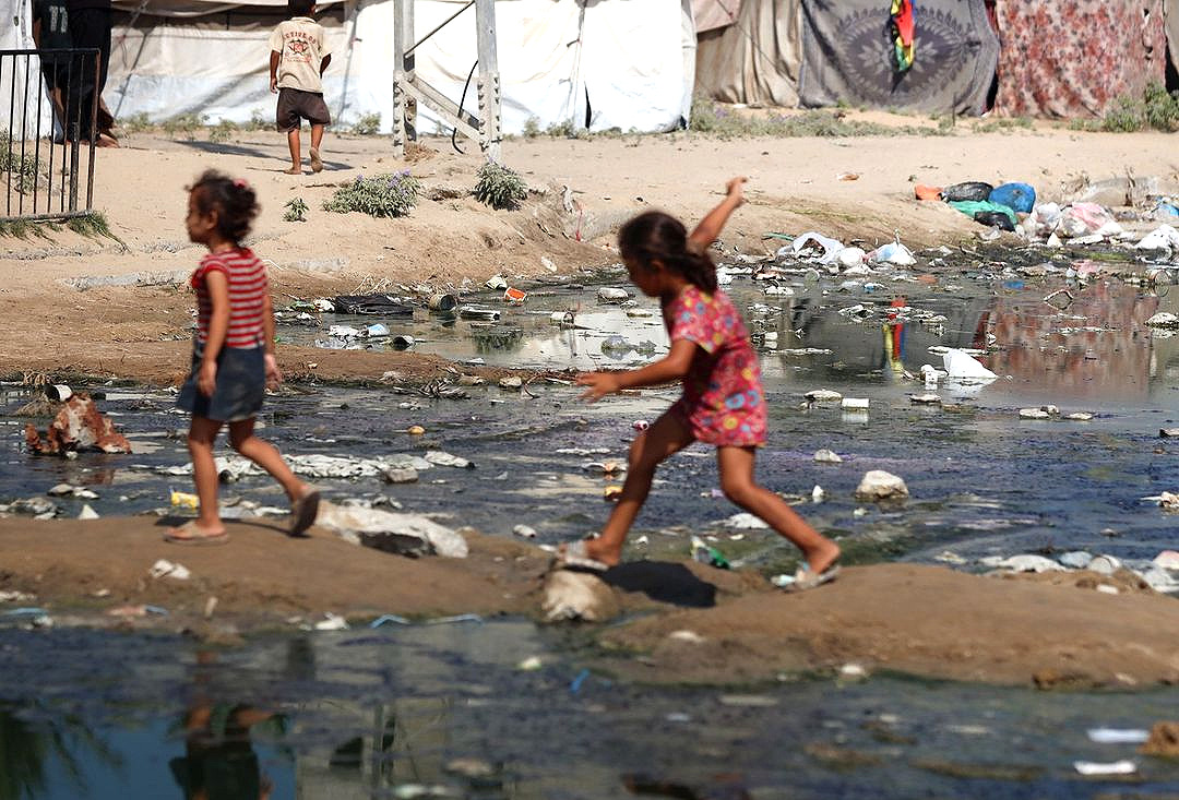 Data, October 7, 2023 - August 9, 2024 – The Gaza Strip inline image