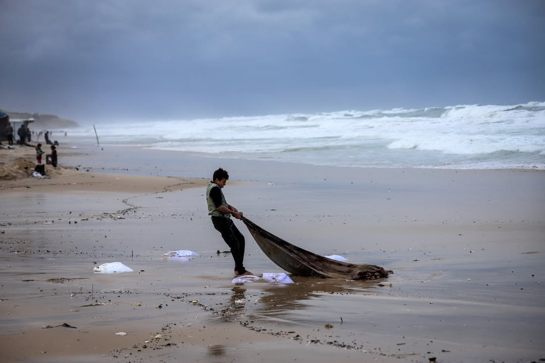 Monday, November 25, 2024 – The Gaza Strip cover image