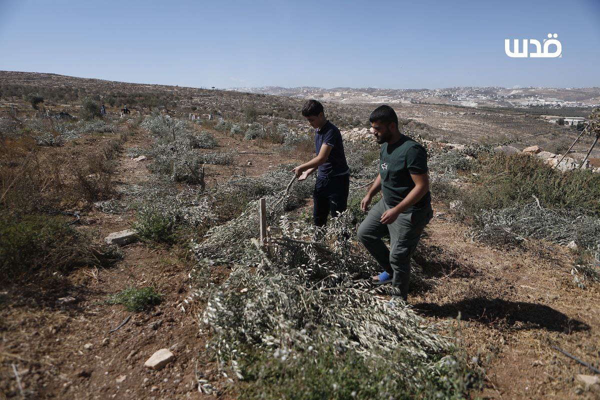 Sunday, October 26, 2025 – The West Bank inline image