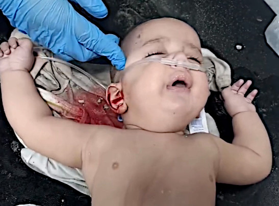 Sunday, October 20, 2024 – The Gaza Strip cover image