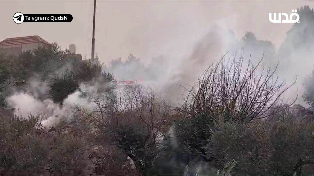 Friday, October 25, 2024 – The West Bank inline image
