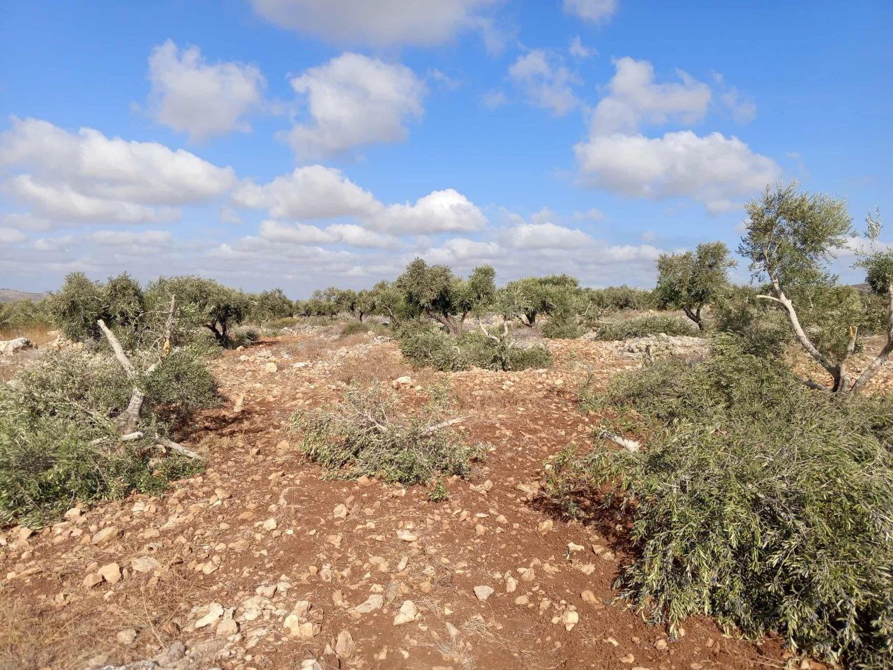 Sunday, October 5, 2025 – The West Bank inline image