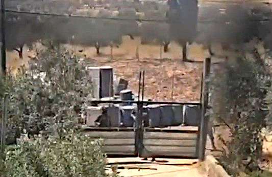 Saturday, July 11, 2026 – The West Bank inline image