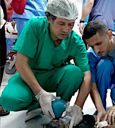 Saturday, November 16, 2024 – The Gaza Strip cover image
