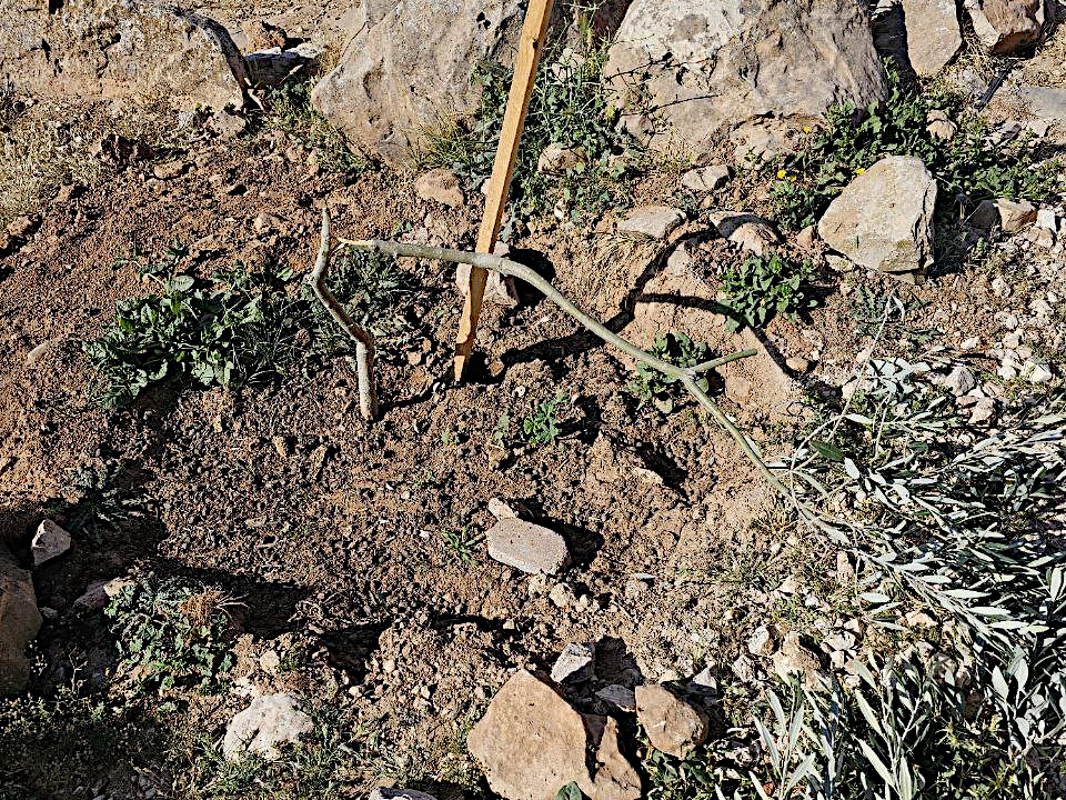 Friday, Apri 25, 2025 – The West Bank inline image