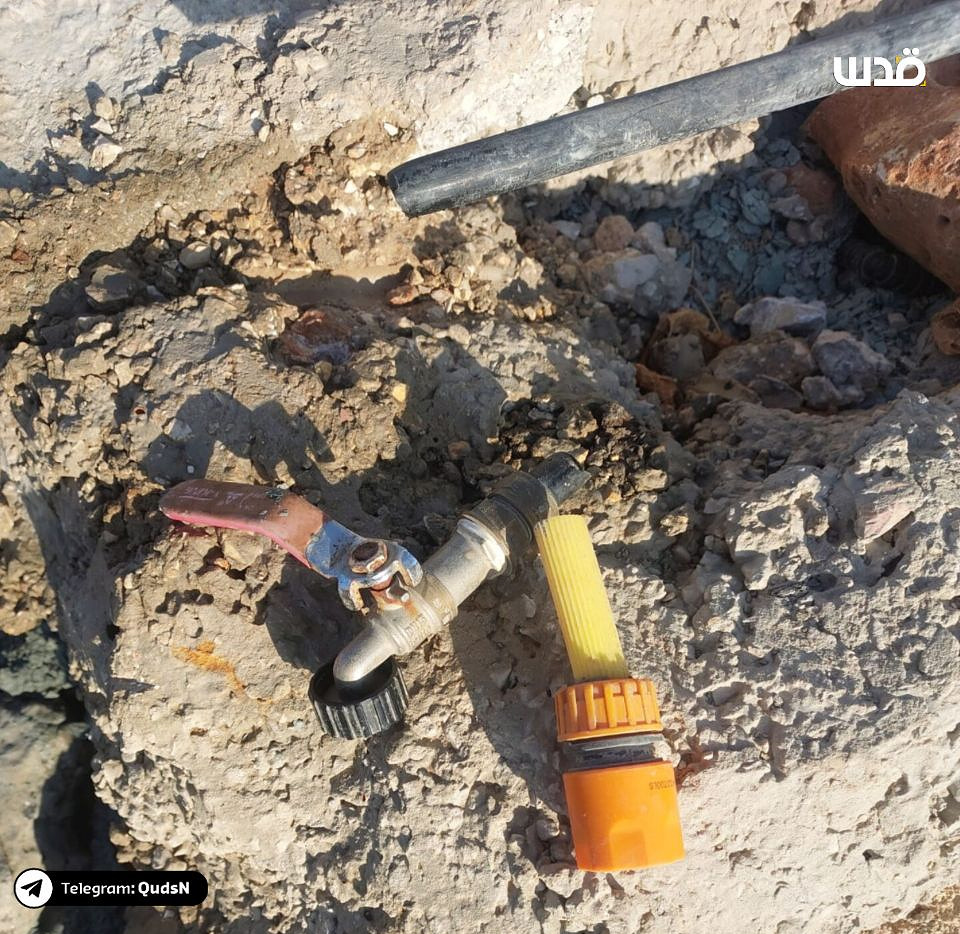 Friday, August 30, 2024 – The West Bank inline image
