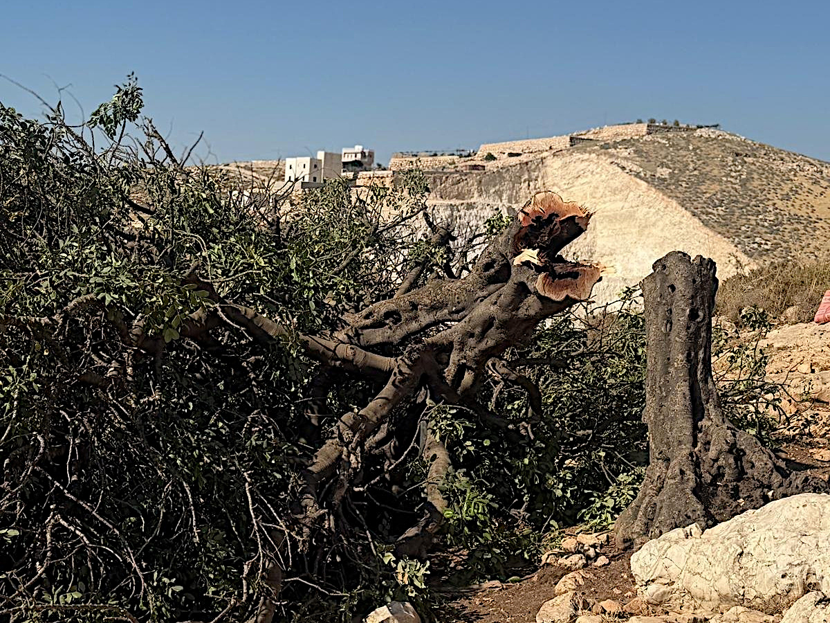 Wednesday, June 10, 2026 – The West Bank inline image