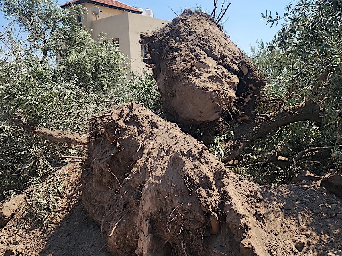 Wednesday, July 15, 2026 – The West Bank inline image
