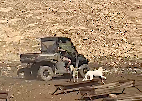 Sunday, September 14, 2025 – The West Bank inline image