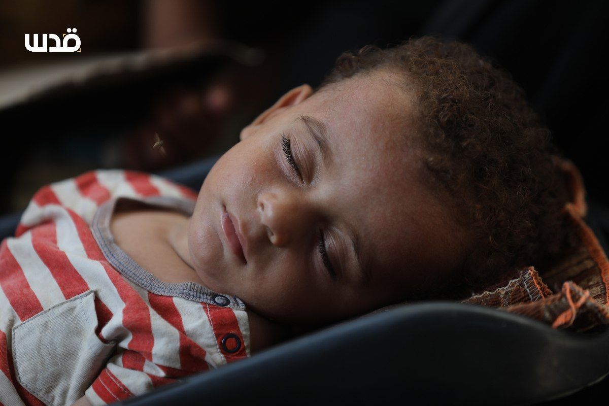 Tuesday, August 27, 2024 – The Gaza Strip inline image