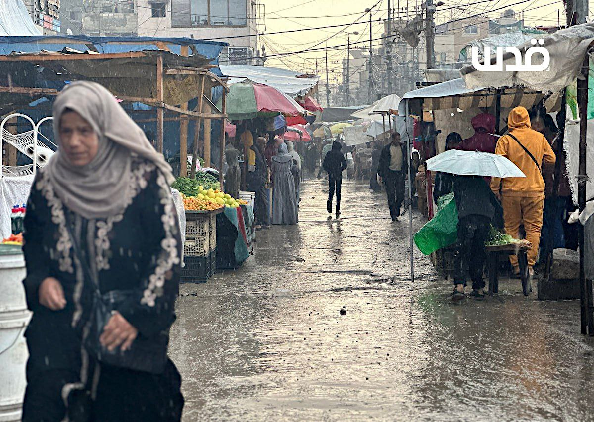 Sunday, November 24, 2024 – The Gaza Strip inline image