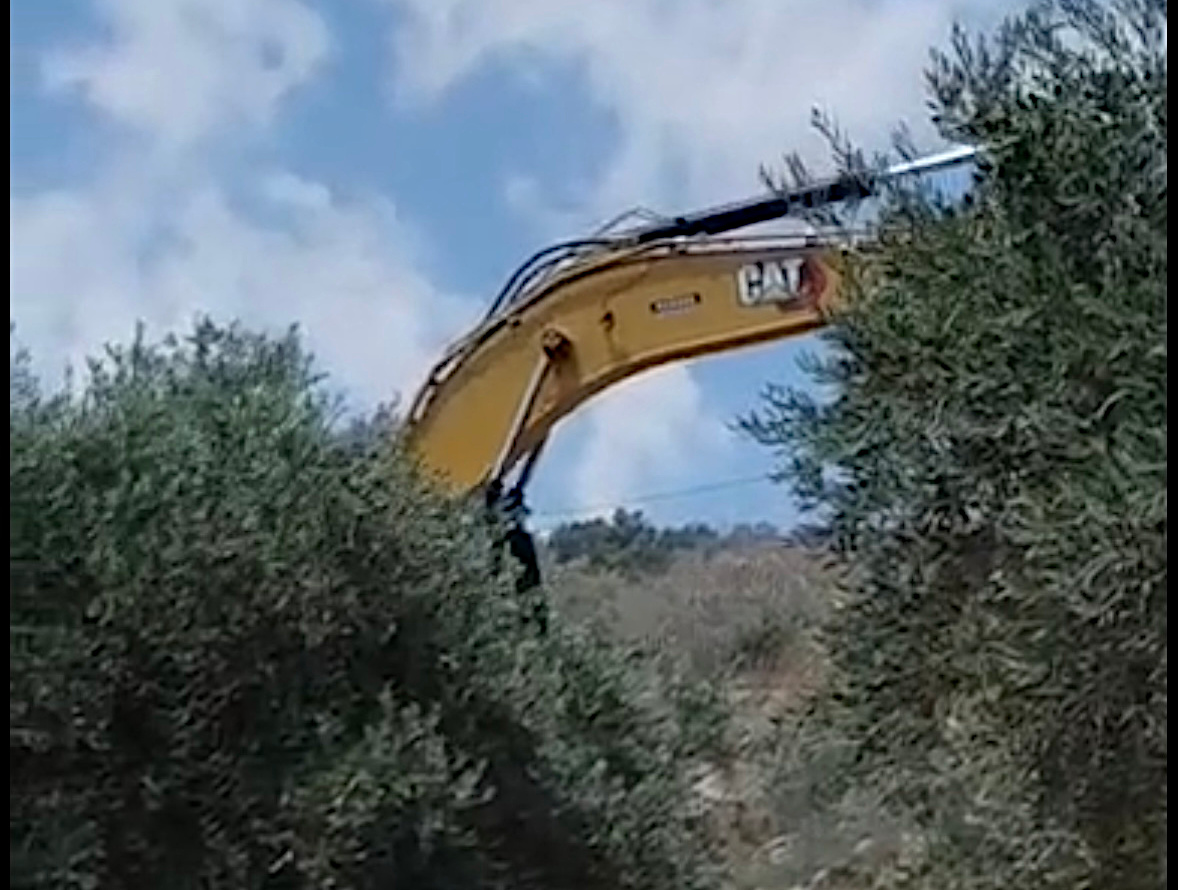 Tuesday, July 7, 2026 – The West Bank inline image