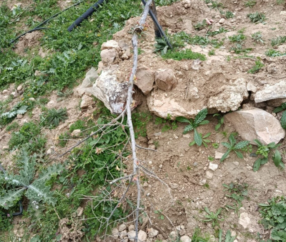Thursday, February 19, 2026 – The West Bank inline image