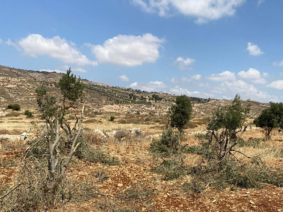 Tuesday, June 3, 2025 – The West Bank inline image