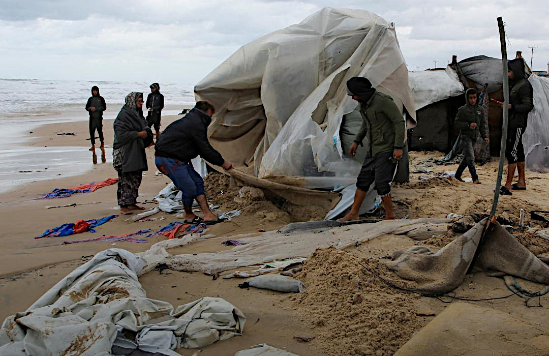 Sunday, November 24, 2024 – The Gaza Strip cover image