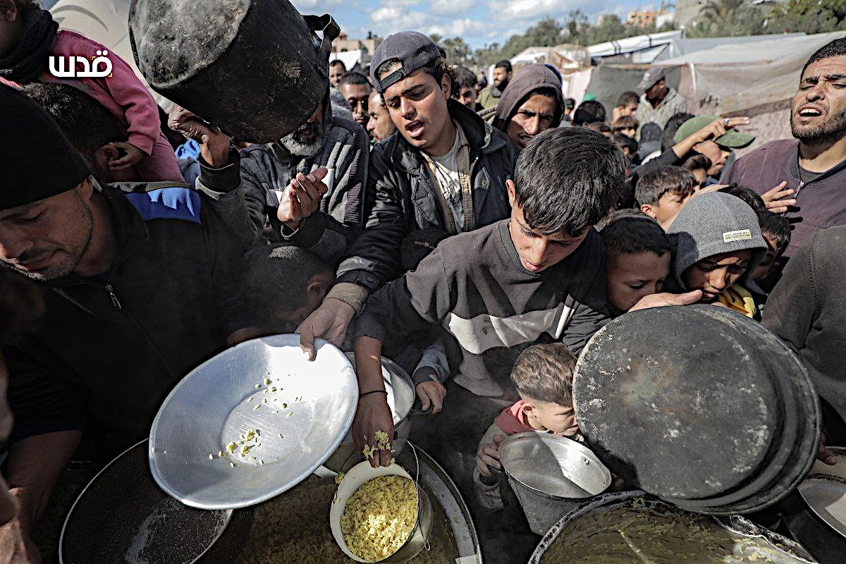 Tuesday, November 26, 2024 – The Gaza Strip inline image