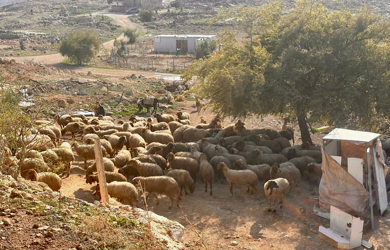 Thursday, January 2, 2025 – The West Bank inline image