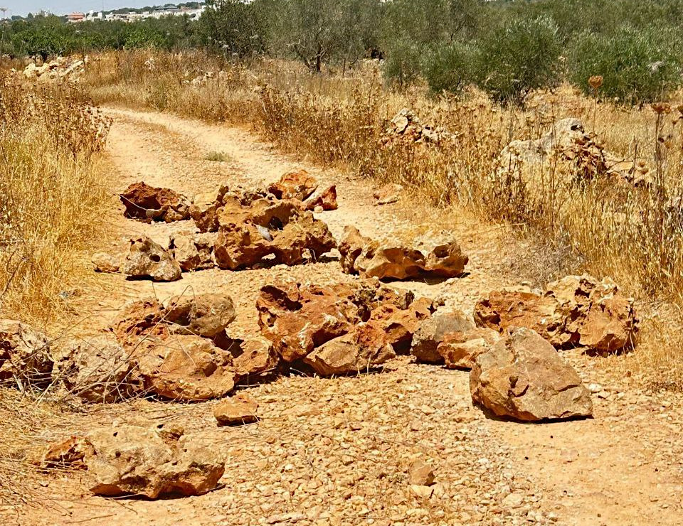 Friday, July 25, 2025 – The West Bank inline image