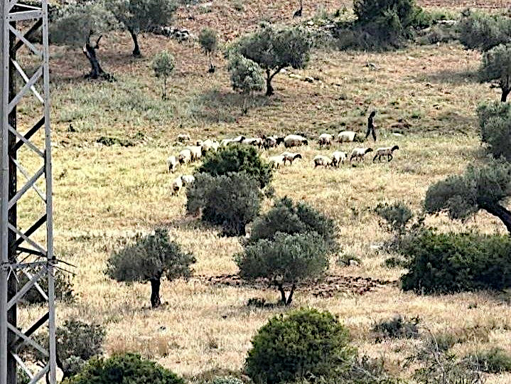 Wednesday, May 20, 2026 – The West Bank inline image