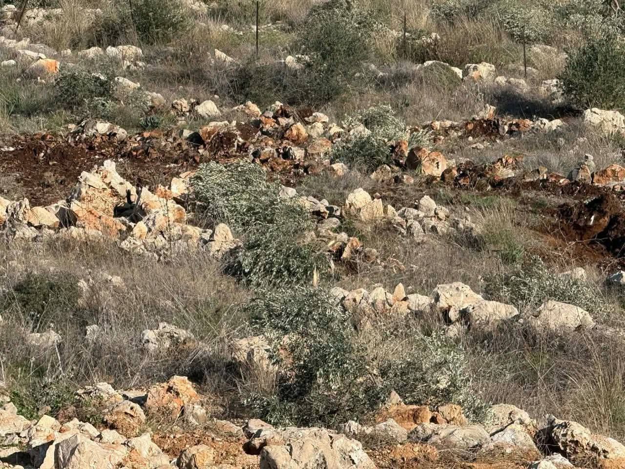 Thursday, December 25, 2025 – The West Bank inline image