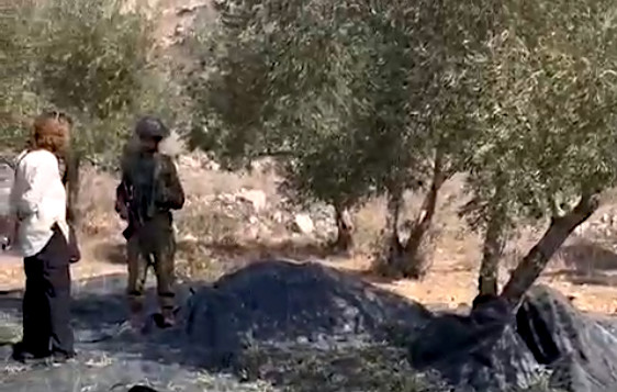Wednesday, October 16, 2024 – The West Bank cover image