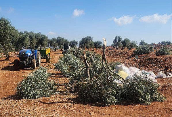 Tuesday, July 2, 2024 – The West Bank inline image