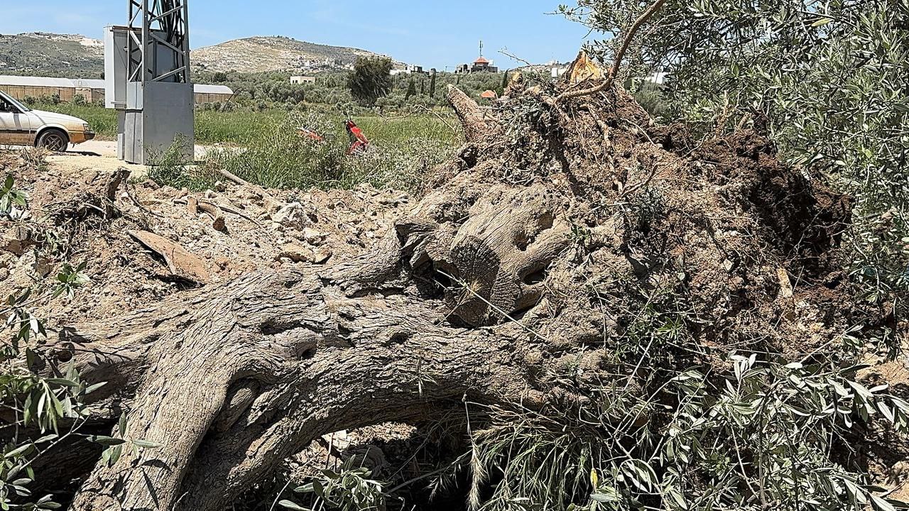 Friday, April 18, 2025 – The West Bank inline image