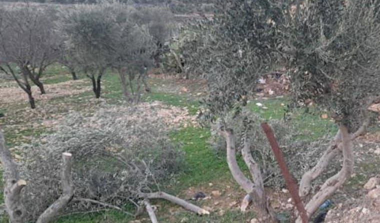 Wednesday, January 15, 2025 – The West Bank inline image