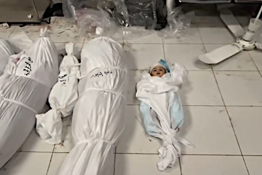 Thursday, April 24, 2025 – The Gaza Strip inline image