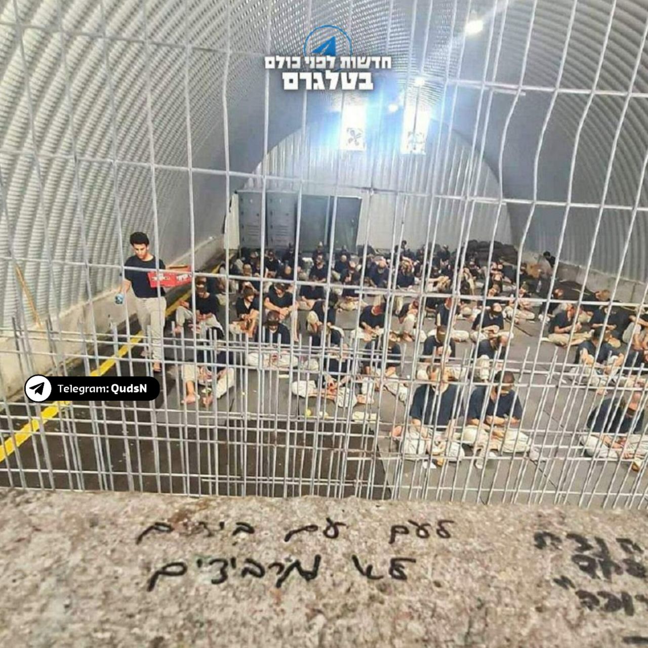 Data, October 7, 2023 - August 3, 2024 – The Gaza Strip inline image