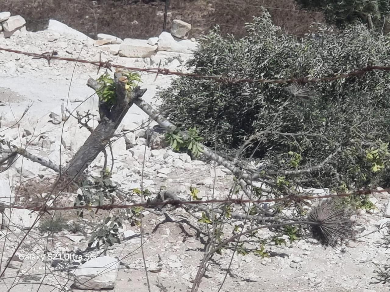 Friday, September 13, 2024 – The West Bank inline image