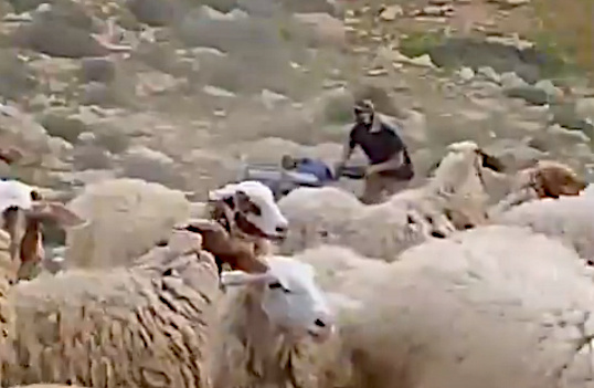 Friday, March 28, 2025 – The West Bank inline image