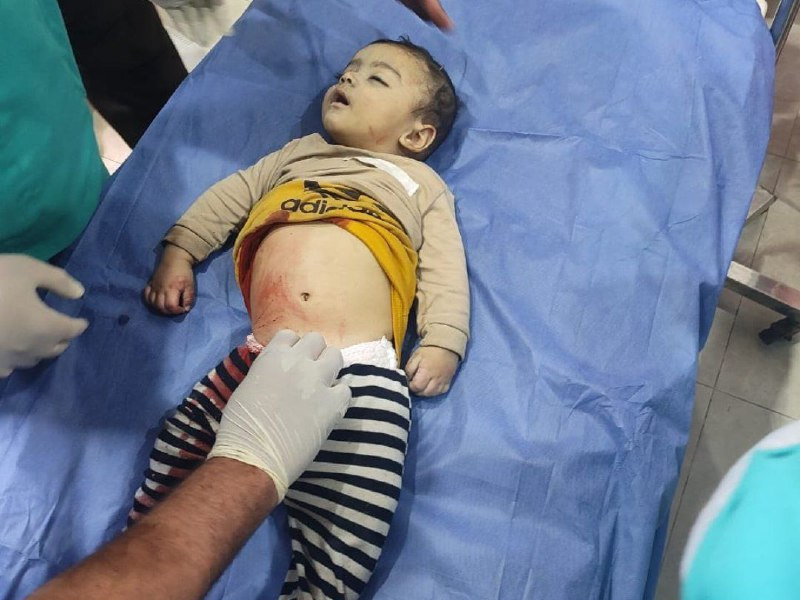 Data, October 7, 2023 - May 31, 2025 – The Gaza Strip inline image