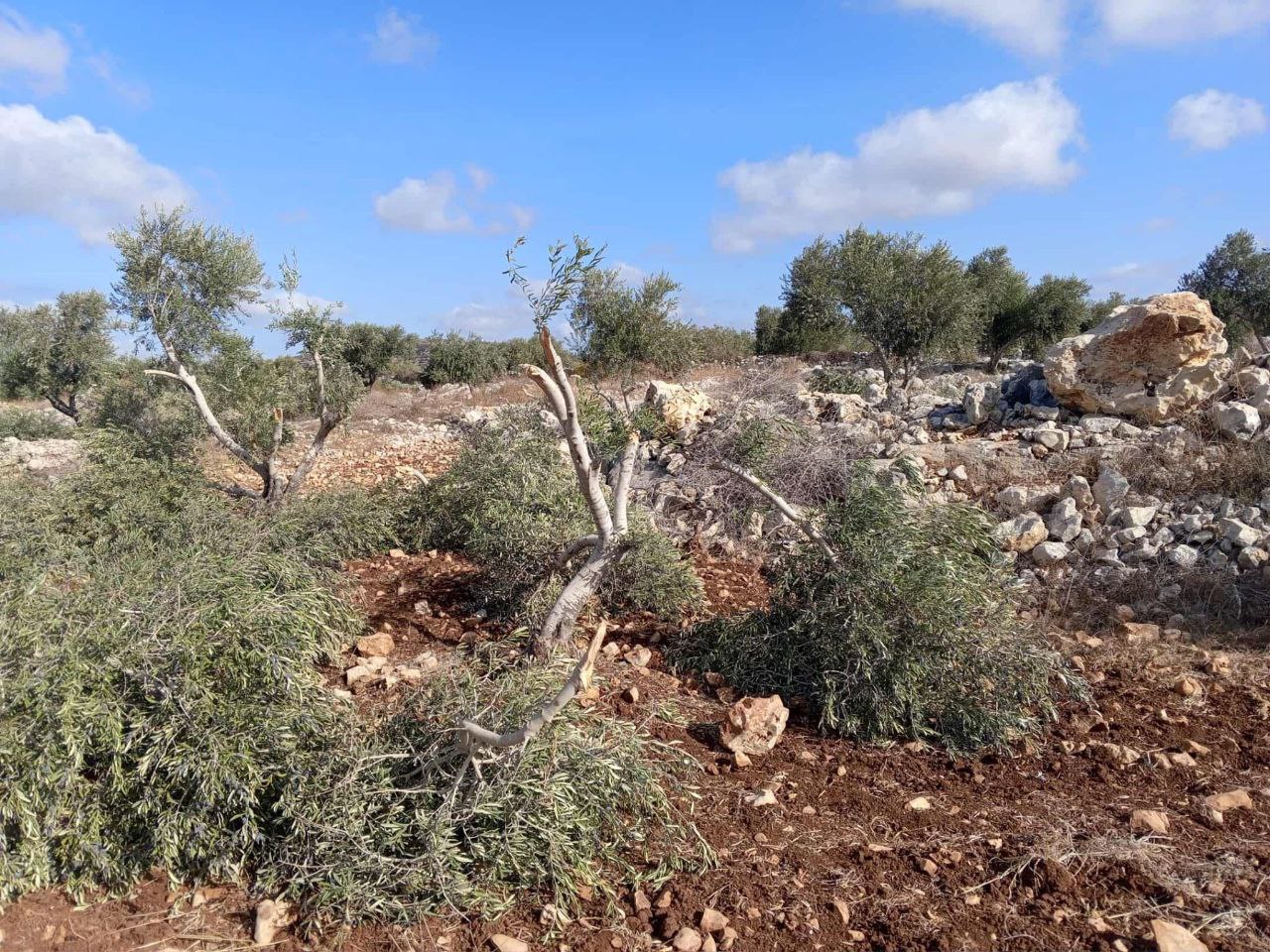 Sunday, October 5, 2025 – The West Bank inline image