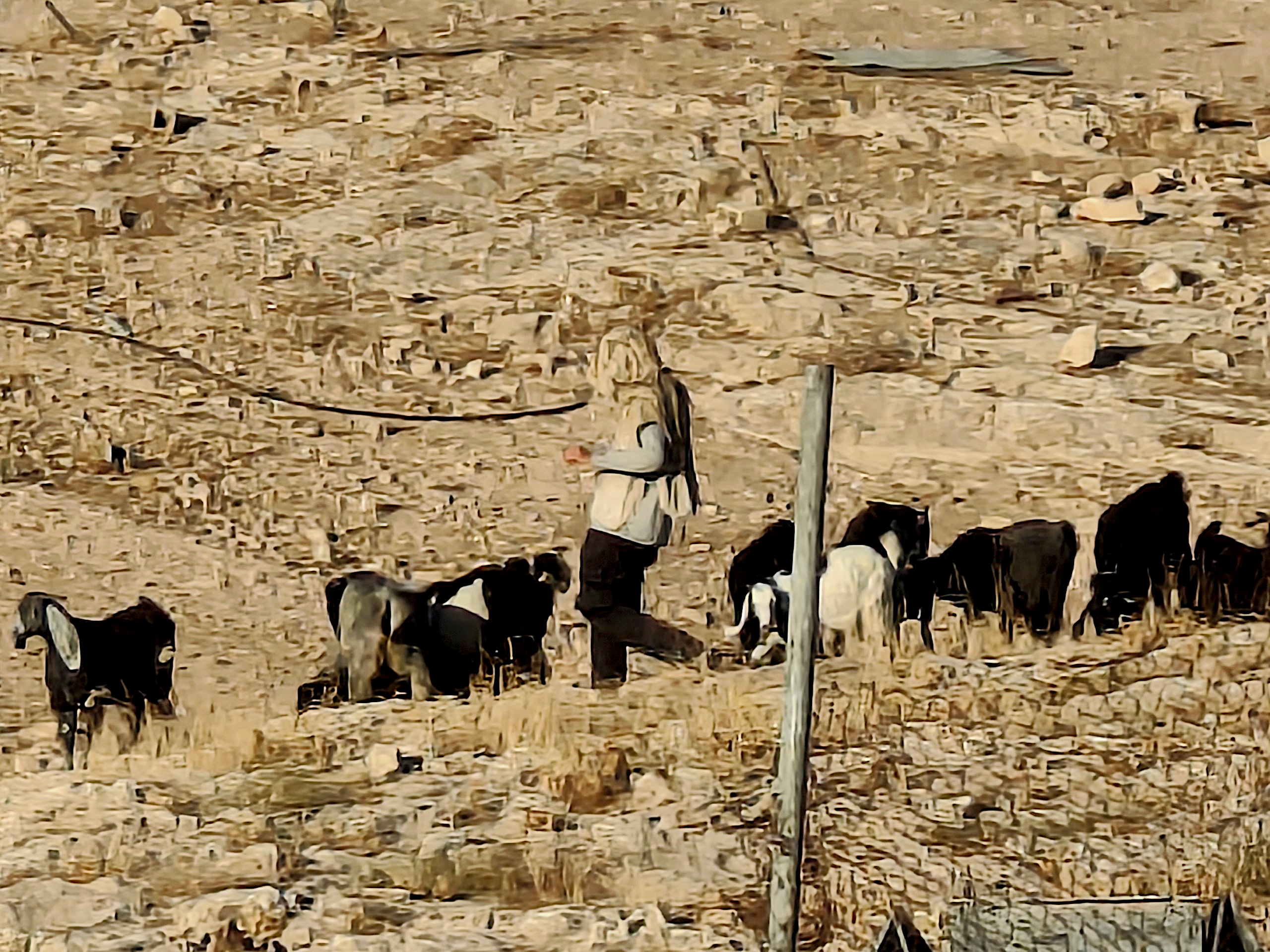 Monday, July 20, 2026 – The West Bank inline image