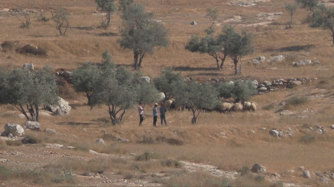 Wednesday, July 24, 2024 – The West Bank inline image