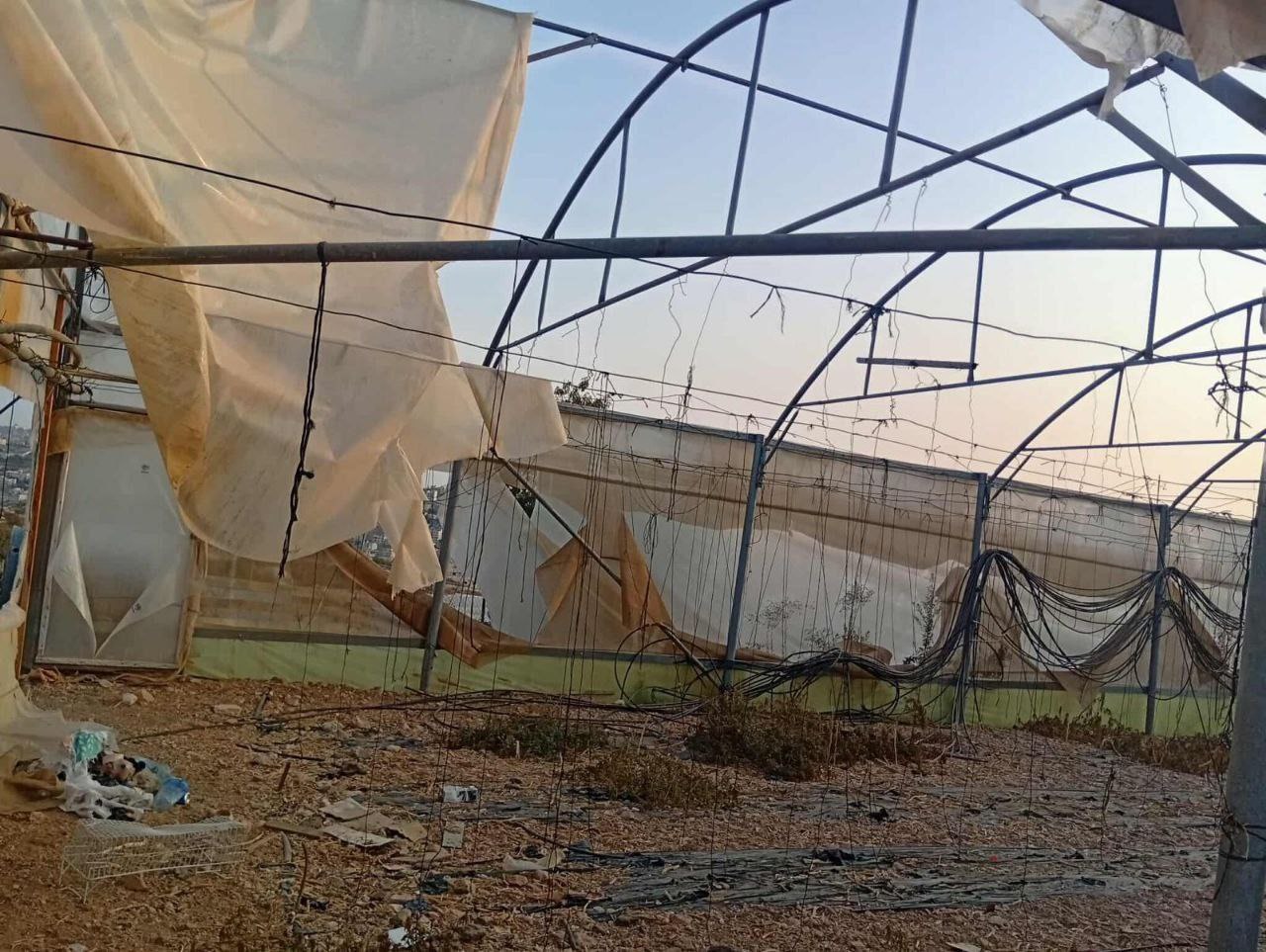 Thursday, November 13, 2025 – The West Bank inline image
