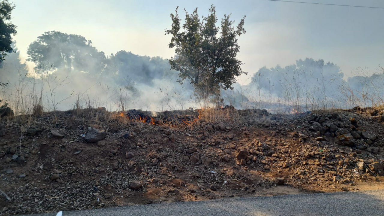 Tuesday, August 20, 2024 – The Northern Front inline image