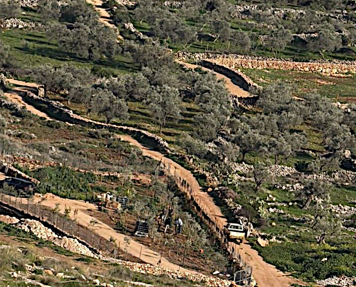 Monday, March 10, 2025 – The West Bank inline image